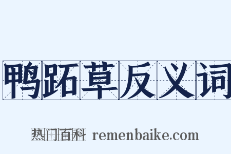 鸭跖草反义词是什么意思的图片